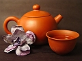 031102-still life